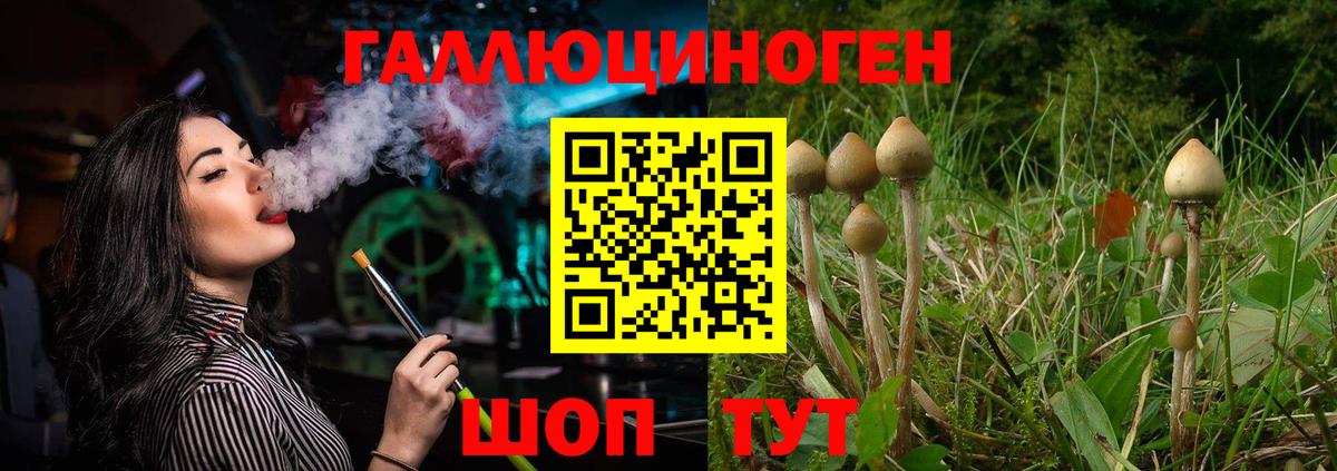 Псилоцибиновые грибы Cubensis Карталы